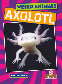 Hardcover Axolotl Book