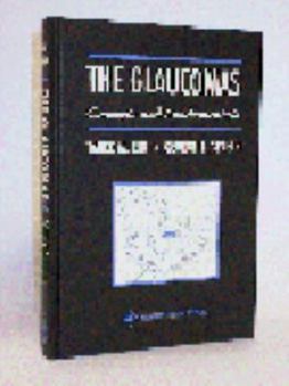 Paperback Media and Culture Book