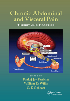 Paperback Chronic Abdominal and Visceral Pain: Theory and Practice Book