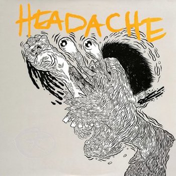 Vinyl Headache Book