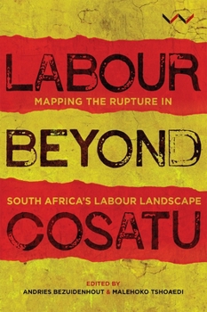 Paperback Labour Beyond Cosatu: Mapping the Rupture in South Africa's Labour Landscape Book