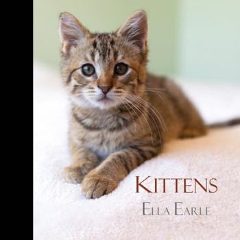 Hardcover Kittens Book