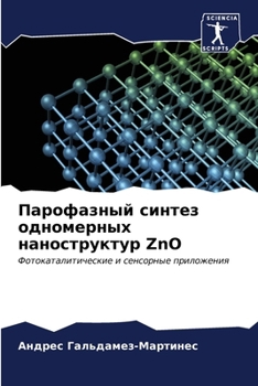 Paperback Парофазный синтез одном& [Russian] Book