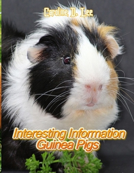 Interesting Information Guinea Pigs: Animal fact for girl age 1-10 Animal fact for boy age 1-10 where do guinea pigs live facts on guinea pigs