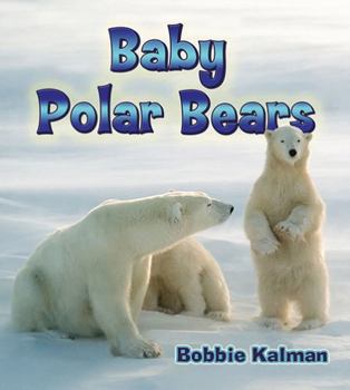 Hardcover Baby Polar Bears Book