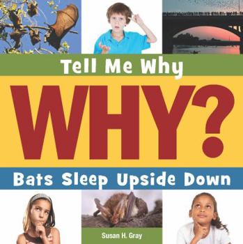 Library Binding Bats Sleep Upside Down Book