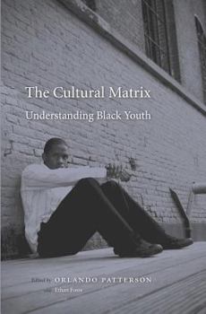 Hardcover The Cultural Matrix: Understanding Black Youth Book