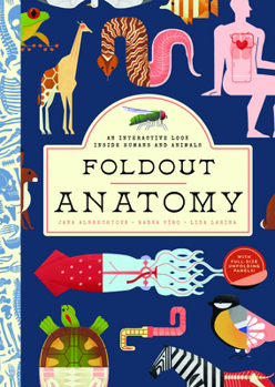 Hardcover Foldout Anatomy: An Interactive Look Inside Humans and Animals Book