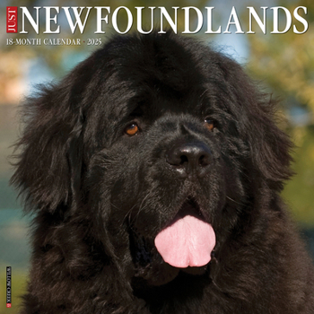 Calendar Just Newfoundlands 2025 12 X 12 Wall Calendar Book