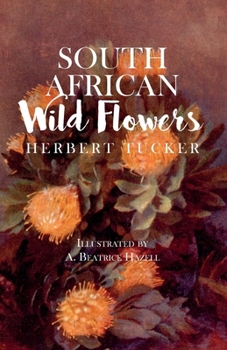 Paperback South African Wild Flowers - Illustrated by A. Beatrice Hazell Book