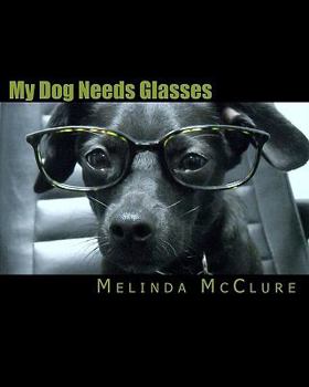 Paperback My Dog Needs Glasses Book