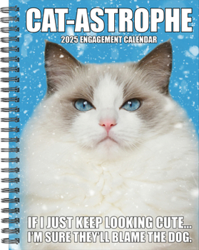 Calendar Cat-Astrophe 2025 6.5 X 8.5 Engagement Calendar Book