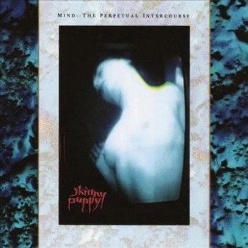 Vinyl Mind: The Perpetual Intercourse Book