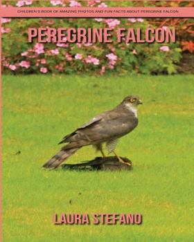 Peregrine Falcon: Children's Book of Amazing Photos and Fun Facts about Peregrine Falcon