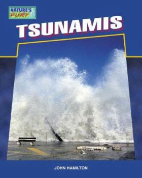Library Binding Tsunamis Book