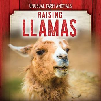 Paperback Raising Llamas Book