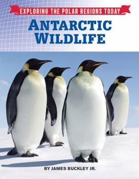 Hardcover Antarctic Wildlife Book