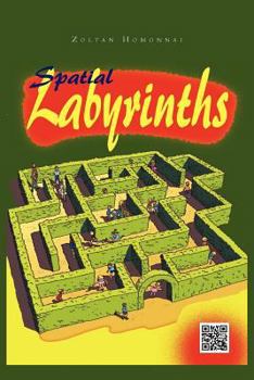 Paperback Spatial Labirynths Book