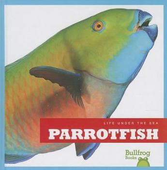 Parrotfish - Book  of the Life Under the Sea