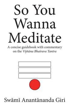 Paperback So You Wanna Meditate: A concise guidebook with commentary on the Vijnana Bhairava Tantra Book