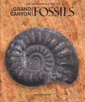 Paperback An Introduction to Grand Canyon Fossils Book