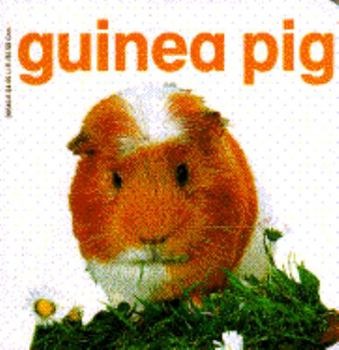 Hardcover Guinea Pig Book