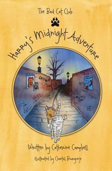 Paperback Harry's Midnight Adventure Book