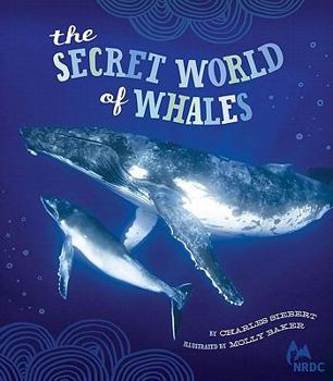 Hardcover The Secret World of Whales Book