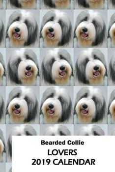 Paperback Bearded Collie Lovers 2019 Calendar Book
