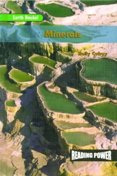 Library Binding Minerals Book