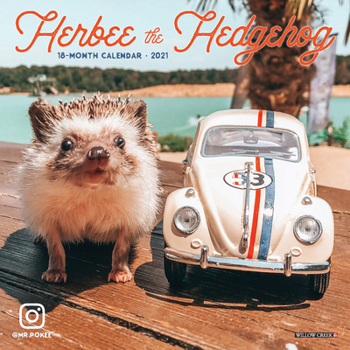 Calendar Herbee the Hedgehog 2021 Mini Wall Calendar Book