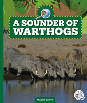 Library Binding A Sounder of Warthogs Book