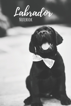 Labrador Notebook: Notebook (120 pages, 6"x9") : Lined Labrador Notebook / Journal - Great Accessories & Gift Idea for Labrador Owner & Lover. Great ... List, Dog Mom Gifts or Present for Dog Lovers