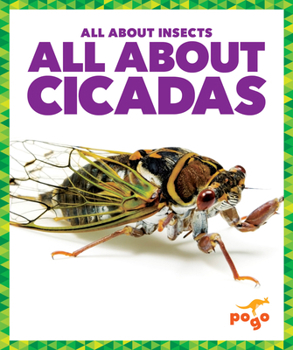 Paperback All about Cicadas Book