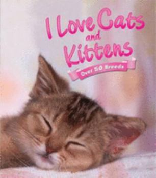 I Love Cats and Kittens