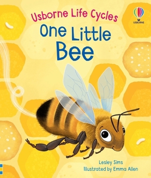 Board book One Little Bee Book