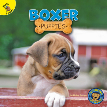 Paperback Boxer Puppies Book