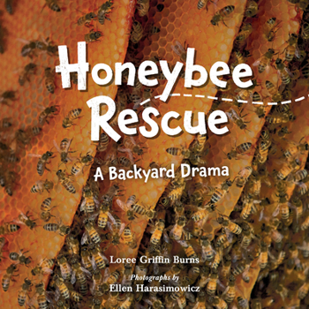 Hardcover Honeybee Rescue: A Backyard Drama Book