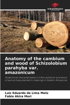 Anatomy of the cambium and wood of Schizolobium parahyba var. amazonicum: Anatomical characterization of the cambium and wood of paricá trees planted in clearings in Eastern Amazonia
