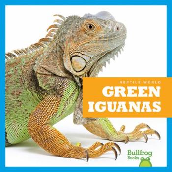 Green Iguanas - Book  of the Reptile World