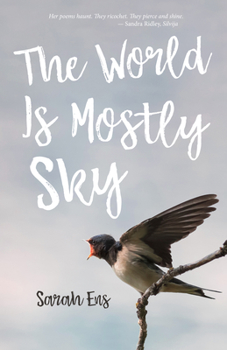 Paperback The World Is Mostly Sky Book