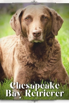 Paperback Chesapeake Bay Retriever: Dog breed overview and guide Book