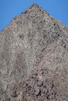 Paperback The Time-Telling Prophecies of Daniel: Second Edition Book