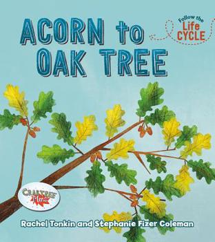 Paperback Acorn to Oak Tree Book