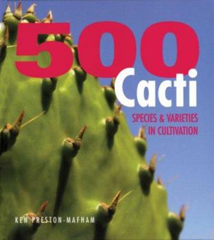 Hardcover 500 Cacti: Species and Varieties in Cultivation Book