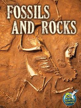 Library Binding Fossils and Rocks Book