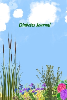 Diabetes Journal: 2 Year Diabetic Diary. Professional Design and Layout -- Daily Record of your Blood Sugar Levels (before & after meals + bedtime)