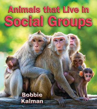 Paperback Animals That Live in Social Groups Book