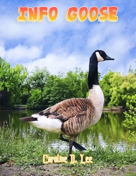 Info Goose: Goose fact for girl age 1-10 Goose fact for boy age 1-10 canada goose diet