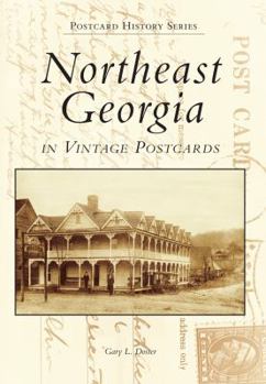 Paperback Northeast Georgia in Vintage Postcards Book